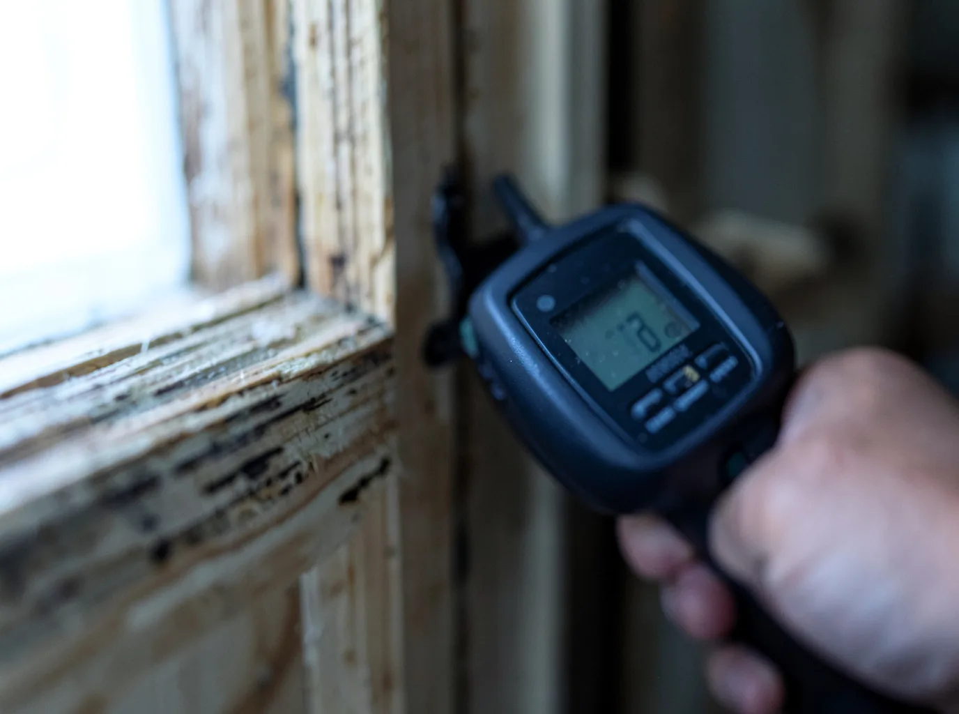Moisture Inspection And Documentation in California City, CA